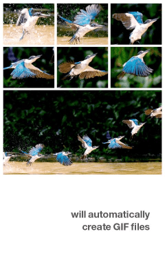 Capture d'écran de l'application Silent Camera - #5