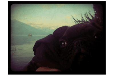 Capture d'écran de l'application Lomo Camera FX - #3