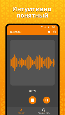 Capture d'écran de l'application Outils mobiles simples Enregistreur vocal simple - #1