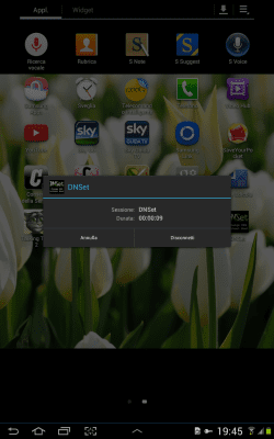Capture d'écran de l'application DNSet - #9