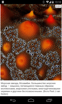 Capture d'écran de l'application Nouvelles photos - #8