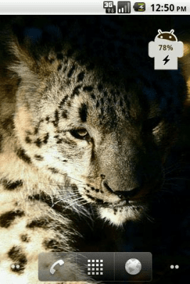 Capture d'écran de l'application ICS Battery - #3