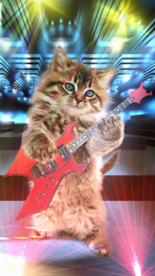 Capture d'écran de l'application Un chat qui parle. Danser ! - #5