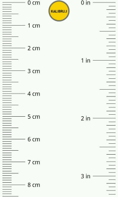 Capture d'écran de l'application Ruler - #1