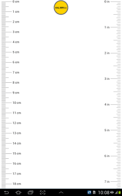 Capture d'écran de l'application Ruler - #3