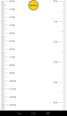 Capture d'écran de l'application Ruler - #5