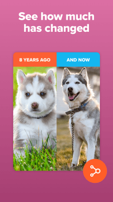 Capture d'écran de l'application Timehop - #3