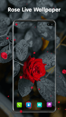 Capture d'écran de l'application Transparent Live Wallpaper - #5