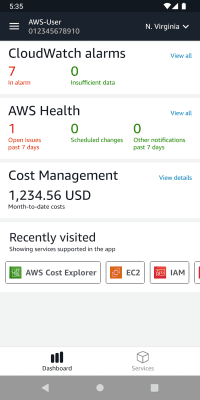 Capture d'écran de l'application AWS Console - #1