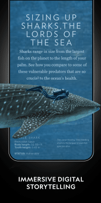 Capture d'écran de l'application National Geographic - #3