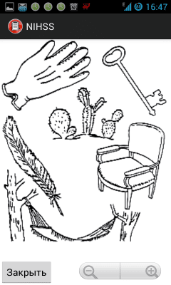 Capture d'écran de l'application NIHSS - #5