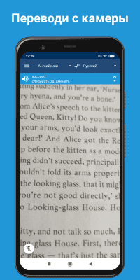 Capture d'écran de l'application ABBYY Lingvo Dictionnaire Traducteur sans Internet - #4
