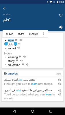 Capture d'écran de l'application Arabic English Dictionary - #2