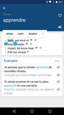 Capture d'écran de l'application French English Dictionary - #2