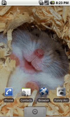 Capture d'écran de l'application Funny Animals Wallpapers #1 - #3