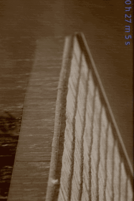 Capture d'écran de l'application Rain Sounds for Sleep - #5