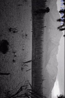 Capture d'écran de l'application Rain Sounds for Sleep - #9