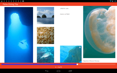 Capture d'écran de l'application Roxio MediaBook Reader - #3