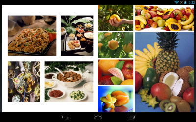 Capture d'écran de l'application Roxio MediaBook Reader - #7
