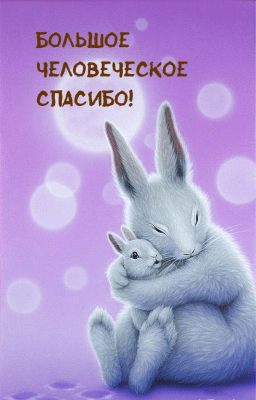 Capture d'écran de l'application Greetify - #4