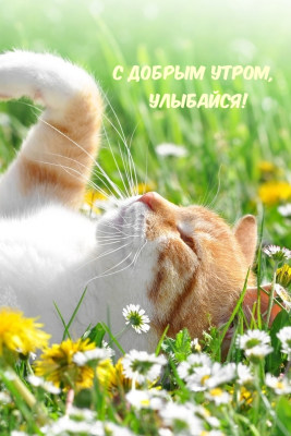 Capture d'écran de l'application Greetify - #5