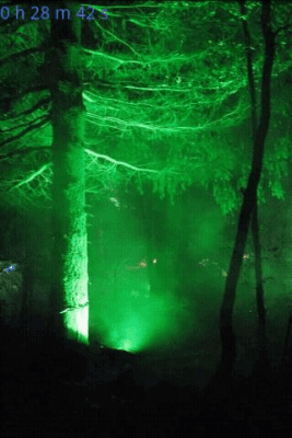 Capture d'écran de l'application Forest Sounds to Relax - #3