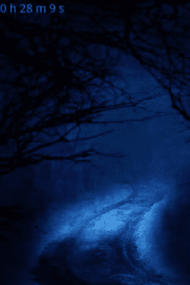 Capture d'écran de l'application Forest Sounds to Relax - #4