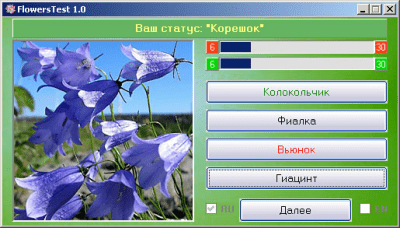 Capture d'écran de l'application FlowersTest - #2