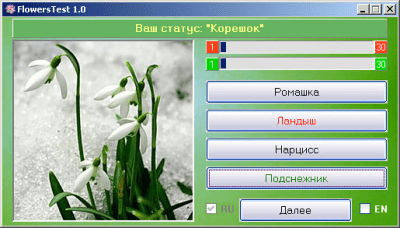 Capture d'écran de l'application FlowersTest - #3