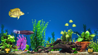 Capture d'écran de l'application Fishing Predator - #3