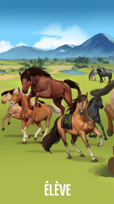 Capture d'écran de l'application Lowadi - #3