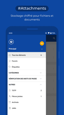 Capture d'écran de l'application Enpass Password Manager - #8