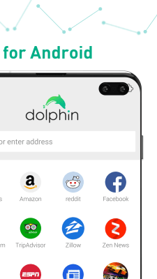 Capture d'écran de l'application Navigateur Dolphin : Privé - #2