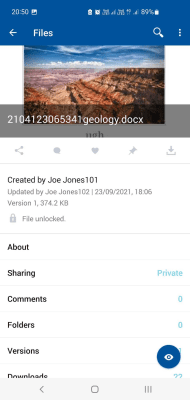 Capture d'écran de l'application HCL Connections - #4