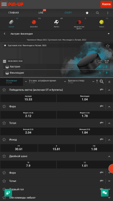 Capture d'écran de l'application Pin Up - #5