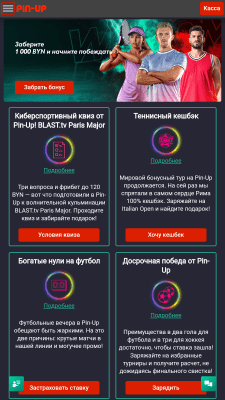 Capture d'écran de l'application Pin Up - #6