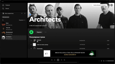 Capture d'écran de l'application Spotify pour Windows - #3