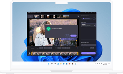 Capture d'écran de l'application HitPaw Watermark Remover - #3