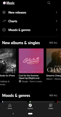 Capture d'écran de l'application Vanced Music - #5
