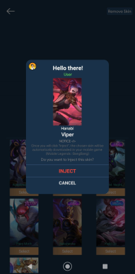 Capture d'écran de l'application Worst Gaming Injector - #11