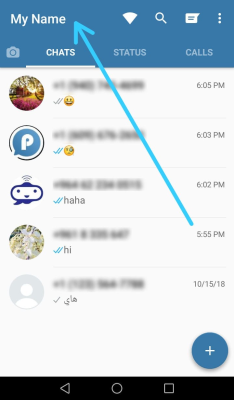 Capture d'écran de l'application WhatsApp Blue - #7