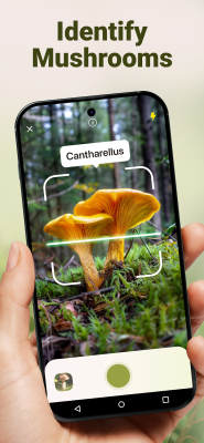 Capture d'écran de l'application Mushroom ID - #1