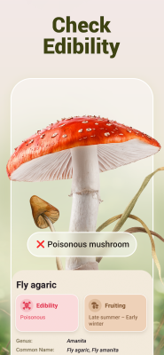 Capture d'écran de l'application Mushroom ID - #3