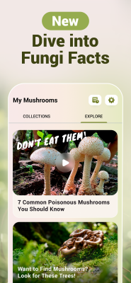 Capture d'écran de l'application Mushroom ID - #4