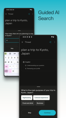 Capture d'écran de l'application Perplexity - #4