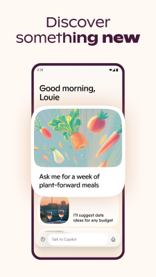 Capture d'écran de l'application Microsoft Copilot - #7
