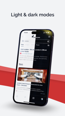 Capture d'écran de l'application Swisscows Private Search - #4