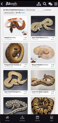 Capture d'écran de l'application MorphMarket - #3