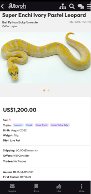 Capture d'écran de l'application MorphMarket - #4