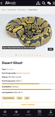 Capture d'écran de l'application MorphMarket - #8